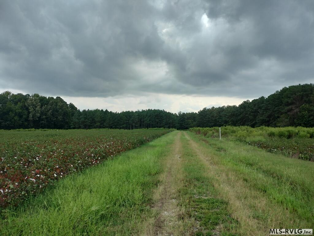 Acreage at N/A Bellamy Lake Road, Enfield NC 27823, photo 30 of 79
