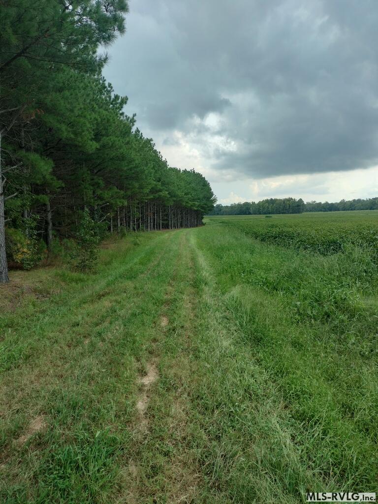 Acreage at N/A Bellamy Lake Road, Enfield NC 27823, photo 31 of 79