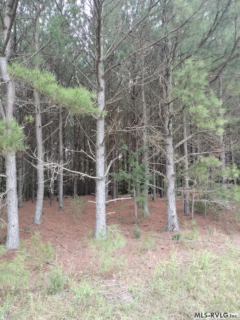 Acreage at N/A Bellamy Lake Road, Enfield NC 27823, photo 32 of 79