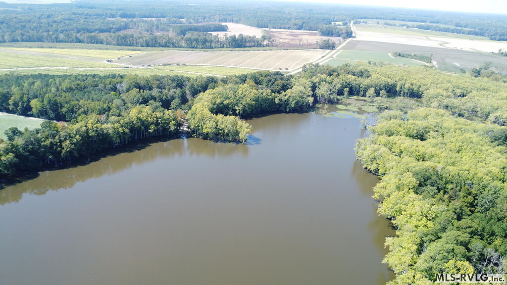 Acreage at N/A Bellamy Lake Road, Enfield NC 27823, photo 33 of 79