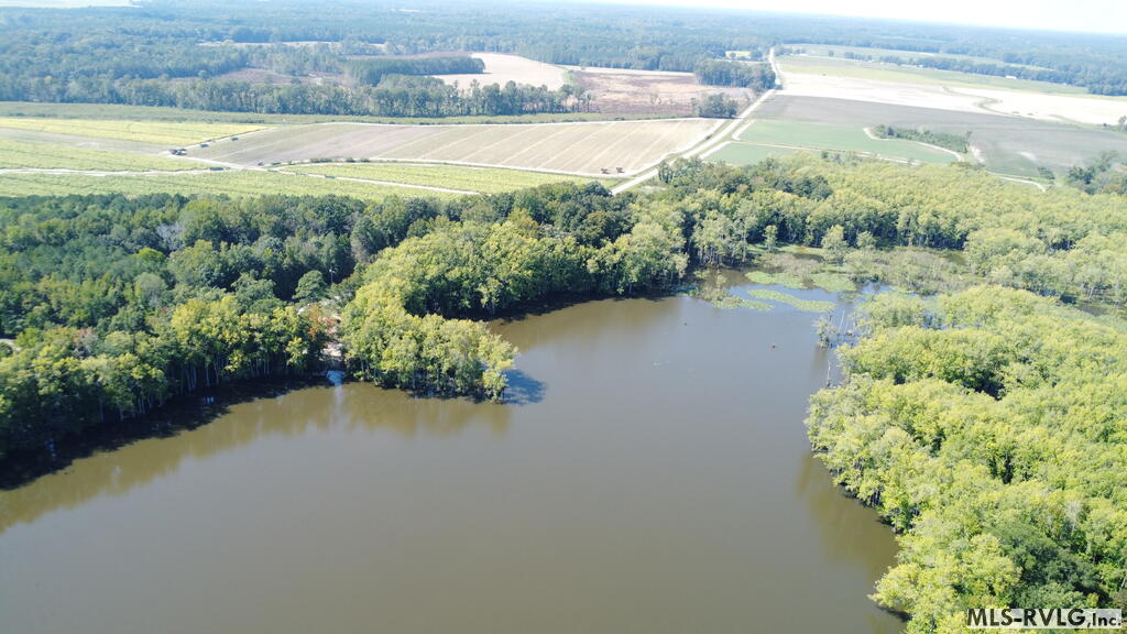 Acreage at N/A Bellamy Lake Road, Enfield NC 27823, photo 34 of 79