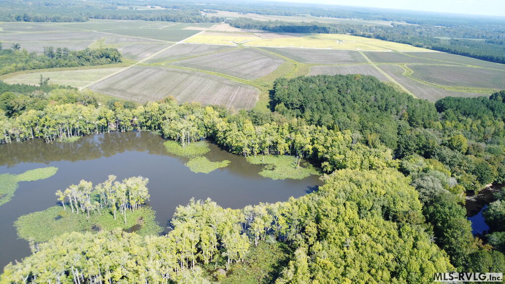 Acreage at N/A Bellamy Lake Road, Enfield NC 27823, photo 35 of 79