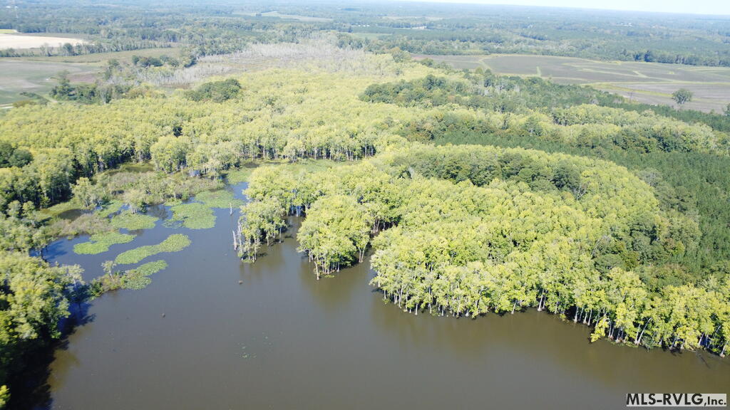 Acreage at N/A Bellamy Lake Road, Enfield NC 27823, photo 38 of 79