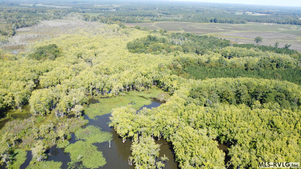 Acreage at N/A Bellamy Lake Road, Enfield NC 27823, photo 39 of 79