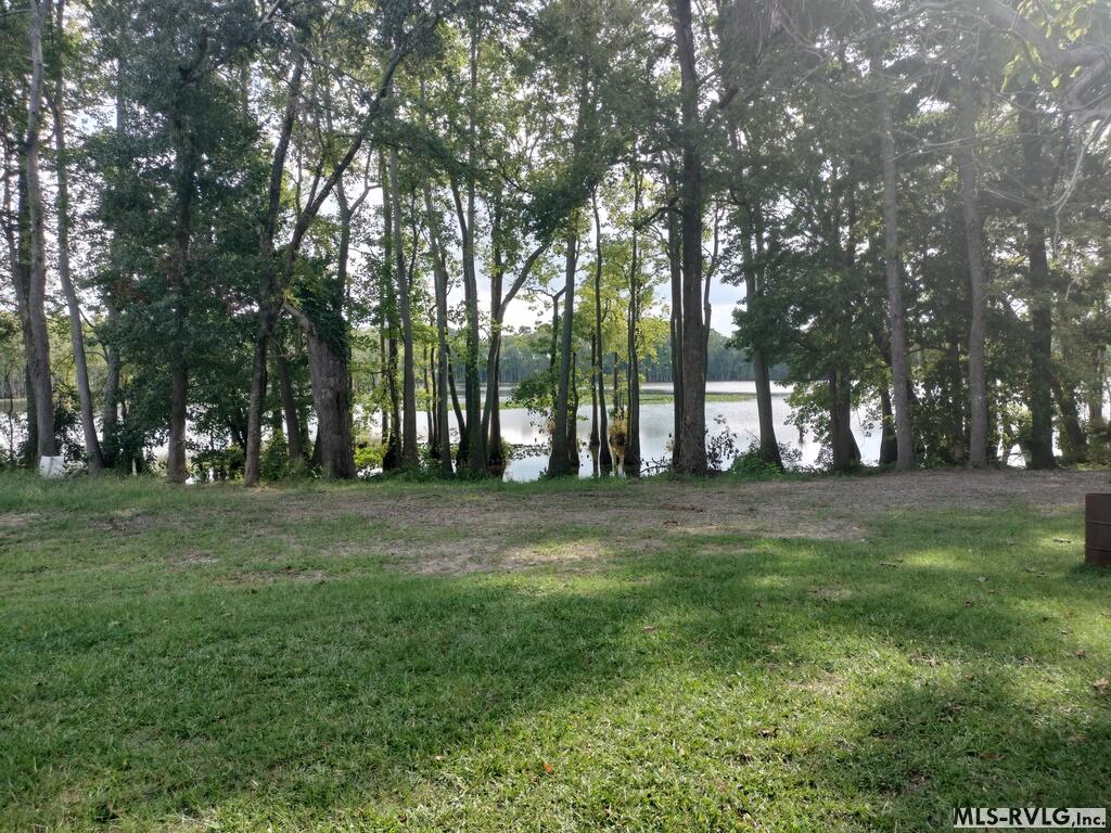Acreage at N/A Bellamy Lake Road, Enfield NC 27823, photo 4 of 79