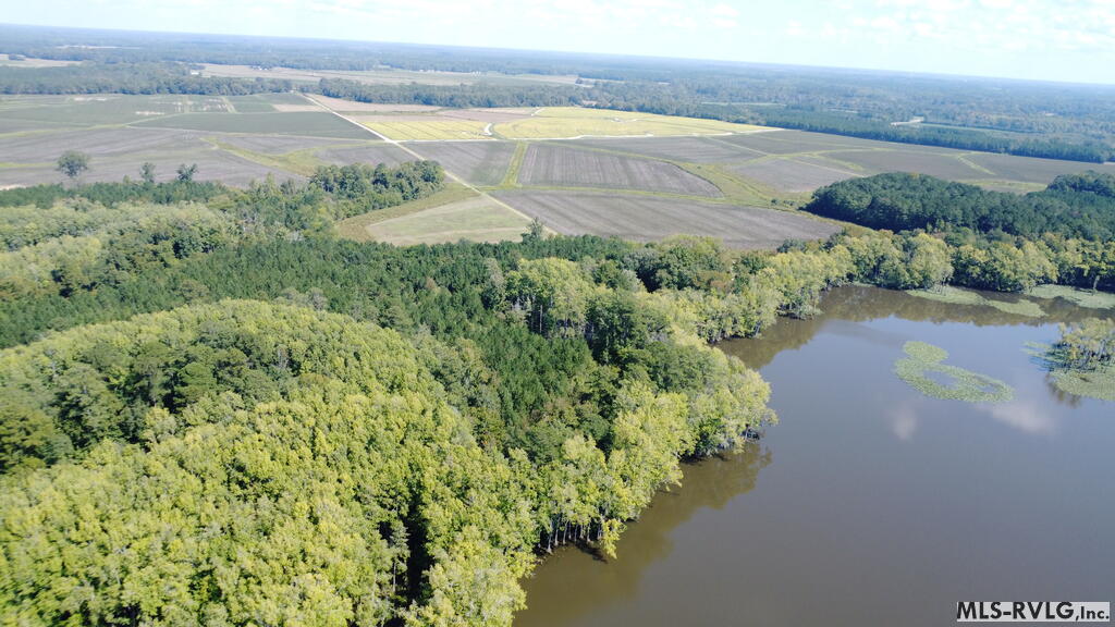 Acreage at N/A Bellamy Lake Road, Enfield NC 27823, photo 40 of 79