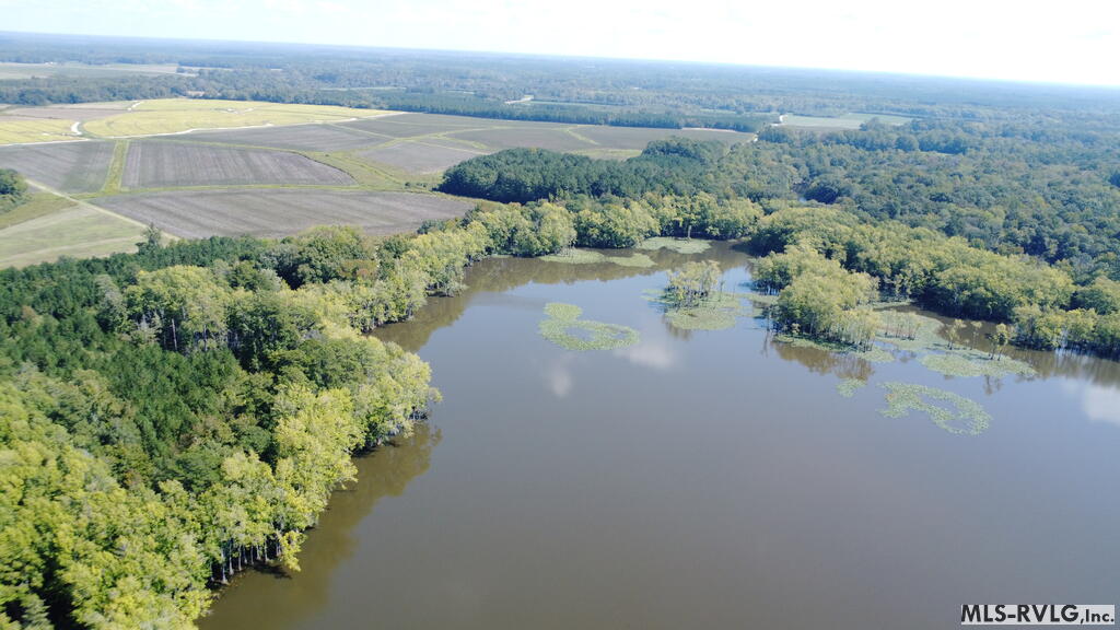Acreage at N/A Bellamy Lake Road, Enfield NC 27823, photo 41 of 79