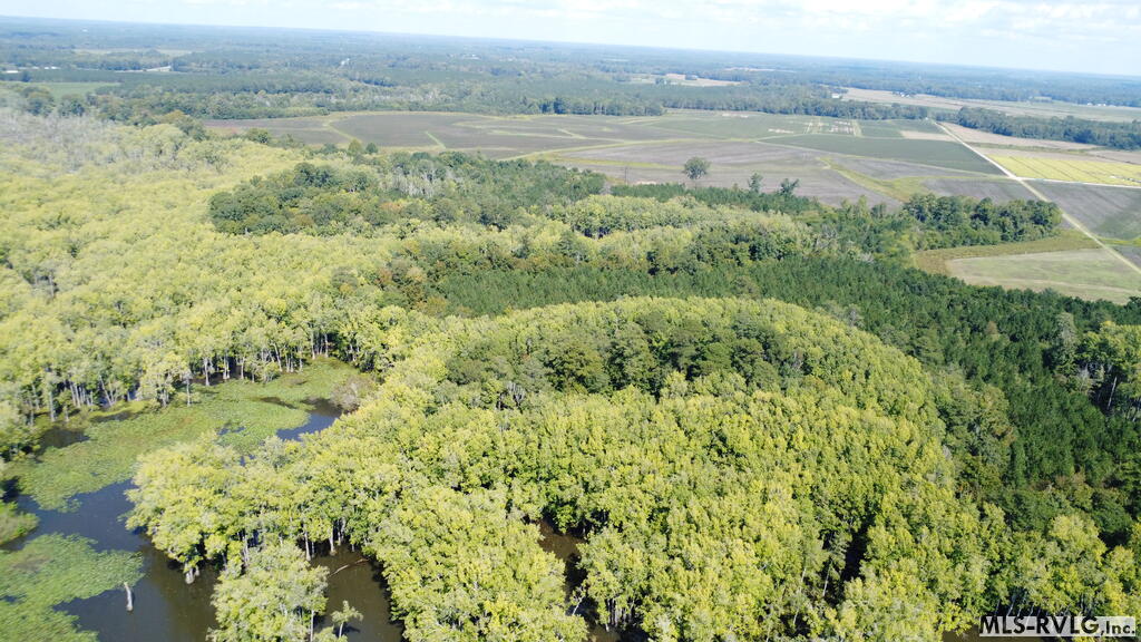 Acreage at N/A Bellamy Lake Road, Enfield NC 27823, photo 42 of 79