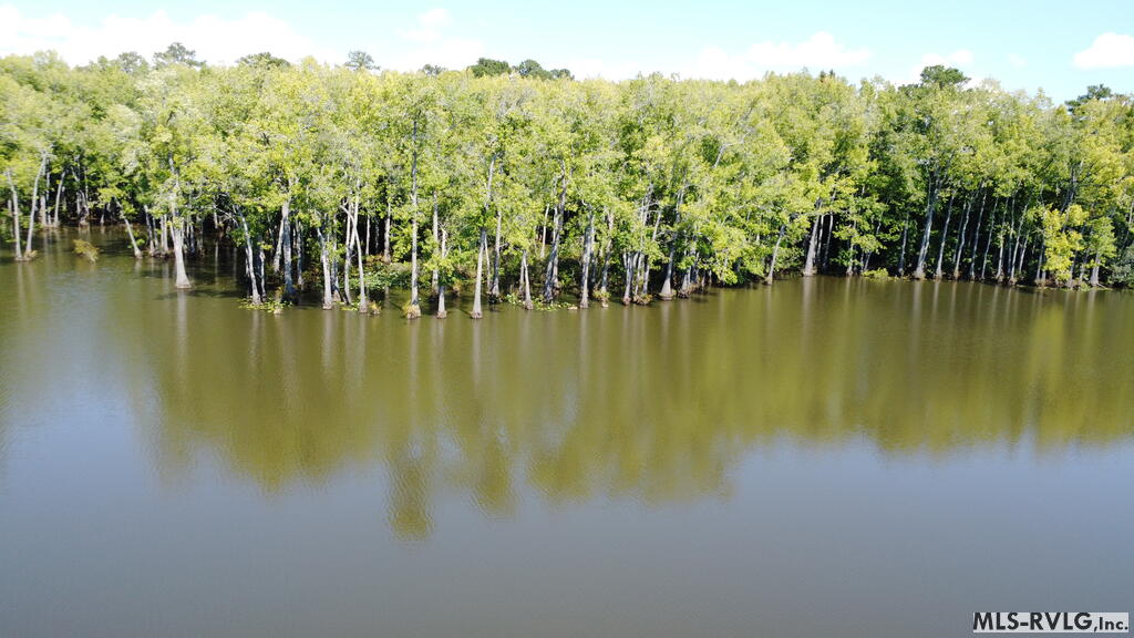 Acreage at N/A Bellamy Lake Road, Enfield NC 27823, photo 43 of 79