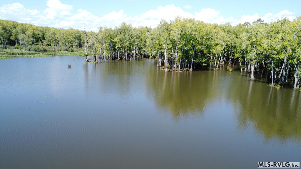 Acreage at N/A Bellamy Lake Road, Enfield NC 27823, photo 44 of 79