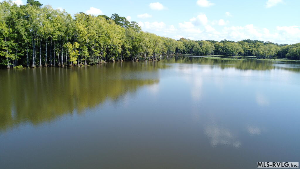 Acreage at N/A Bellamy Lake Road, Enfield NC 27823, photo 45 of 79
