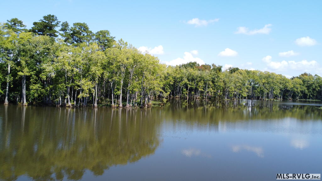 Acreage at N/A Bellamy Lake Road, Enfield NC 27823, photo 46 of 79