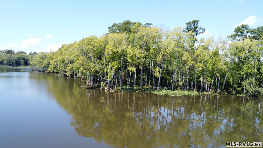 Acreage at N/A Bellamy Lake Road, Enfield NC 27823, photo 47 of 79
