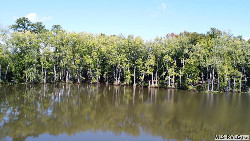 Acreage at N/A Bellamy Lake Road, Enfield NC 27823, photo 48 of 79