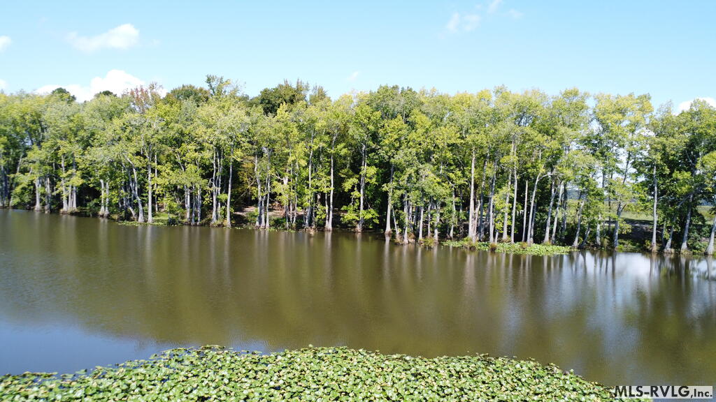 Acreage at N/A Bellamy Lake Road, Enfield NC 27823, photo 50 of 79