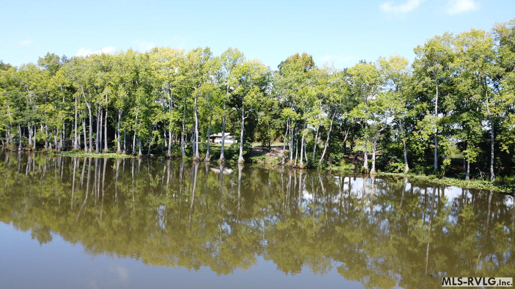 Acreage at N/A Bellamy Lake Road, Enfield NC 27823, photo 51 of 79