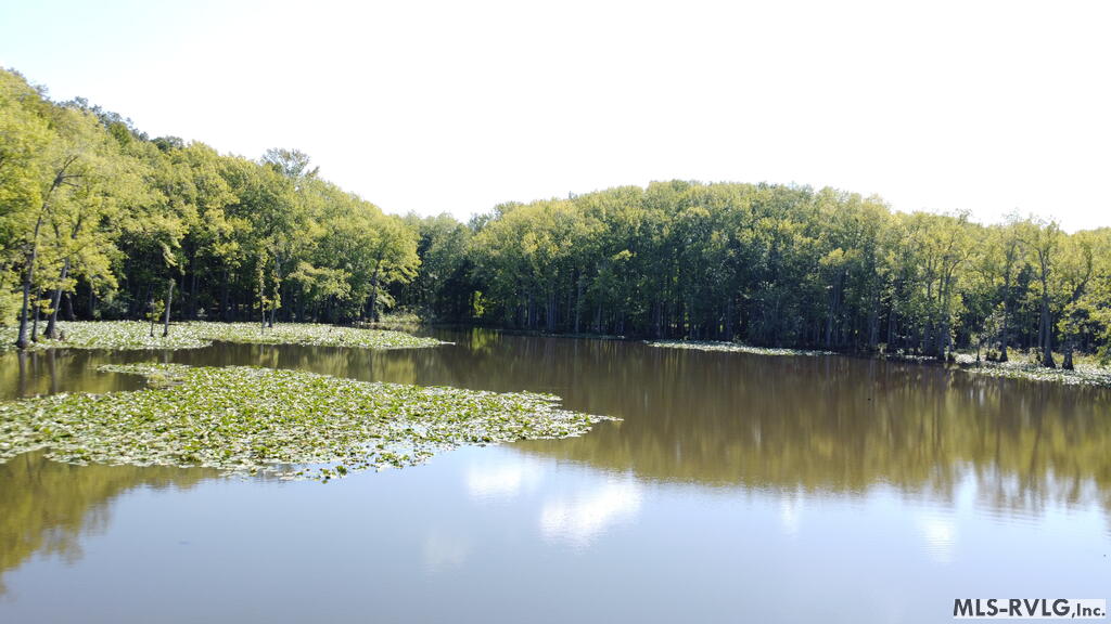 Acreage at N/A Bellamy Lake Road, Enfield NC 27823, photo 52 of 79
