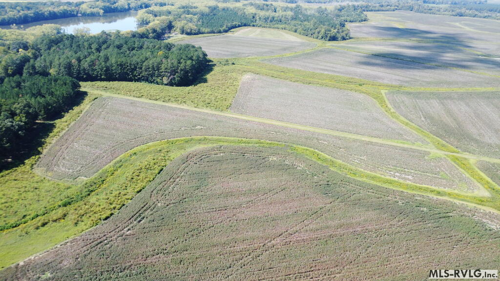 Acreage at N/A Bellamy Lake Road, Enfield NC 27823, photo 55 of 79