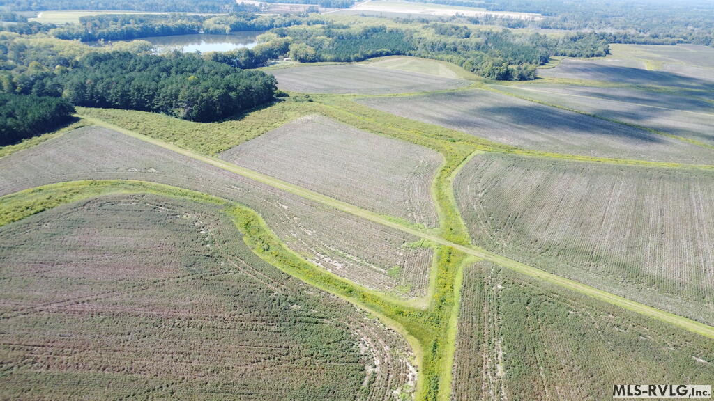 Acreage at N/A Bellamy Lake Road, Enfield NC 27823, photo 56 of 79