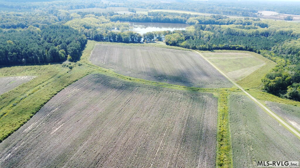 Acreage at N/A Bellamy Lake Road, Enfield NC 27823, photo 58 of 79