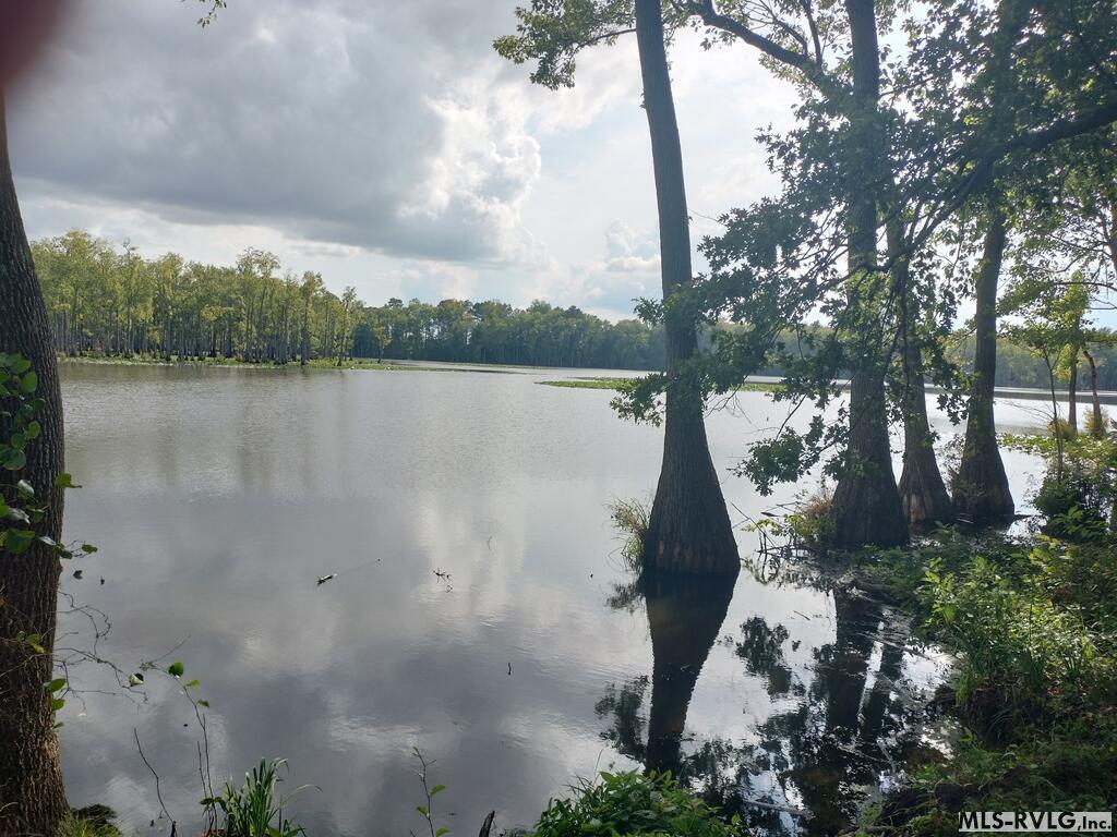 Acreage at N/A Bellamy Lake Road, Enfield NC 27823, photo 6 of 79