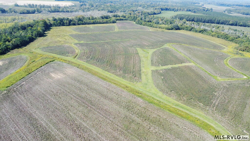 Acreage at N/A Bellamy Lake Road, Enfield NC 27823, photo 60 of 79