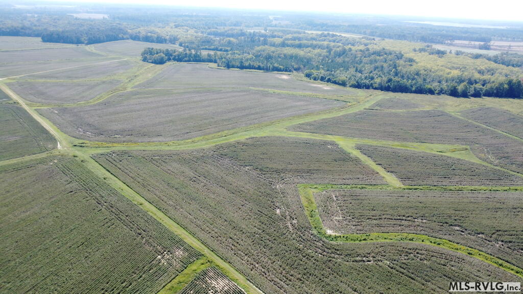 Acreage at N/A Bellamy Lake Road, Enfield NC 27823, photo 62 of 79