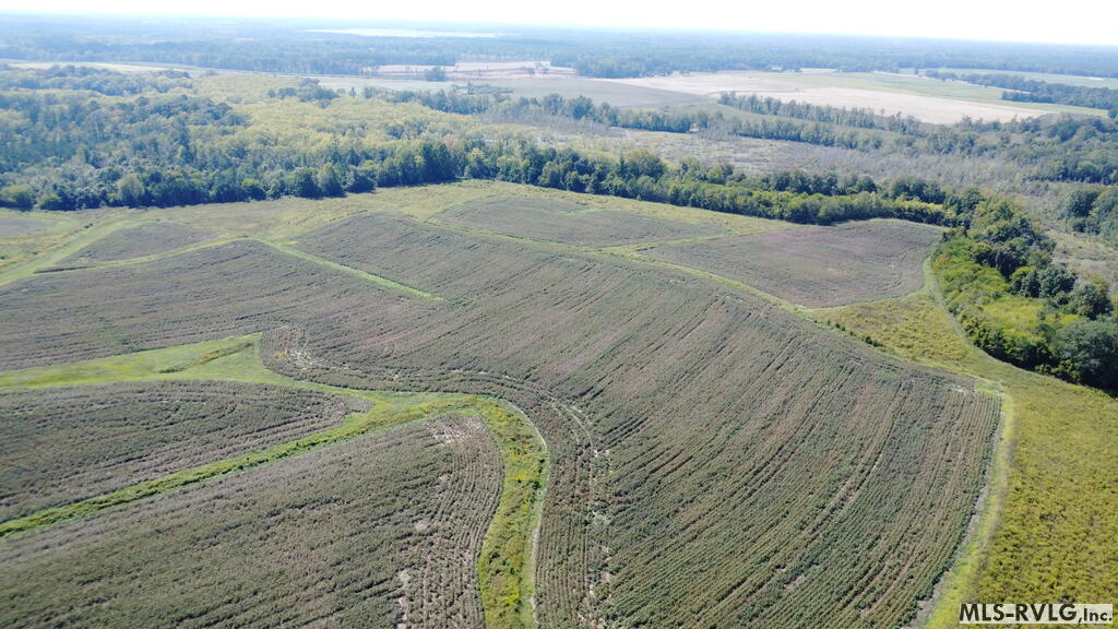 Acreage at N/A Bellamy Lake Road, Enfield NC 27823, photo 63 of 79