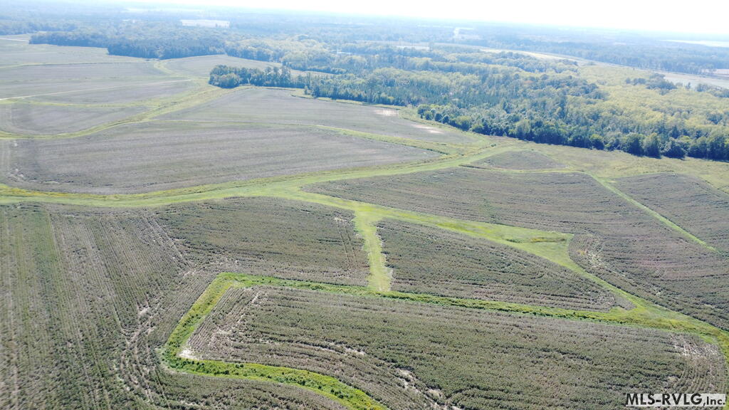 Acreage at N/A Bellamy Lake Road, Enfield NC 27823, photo 64 of 79