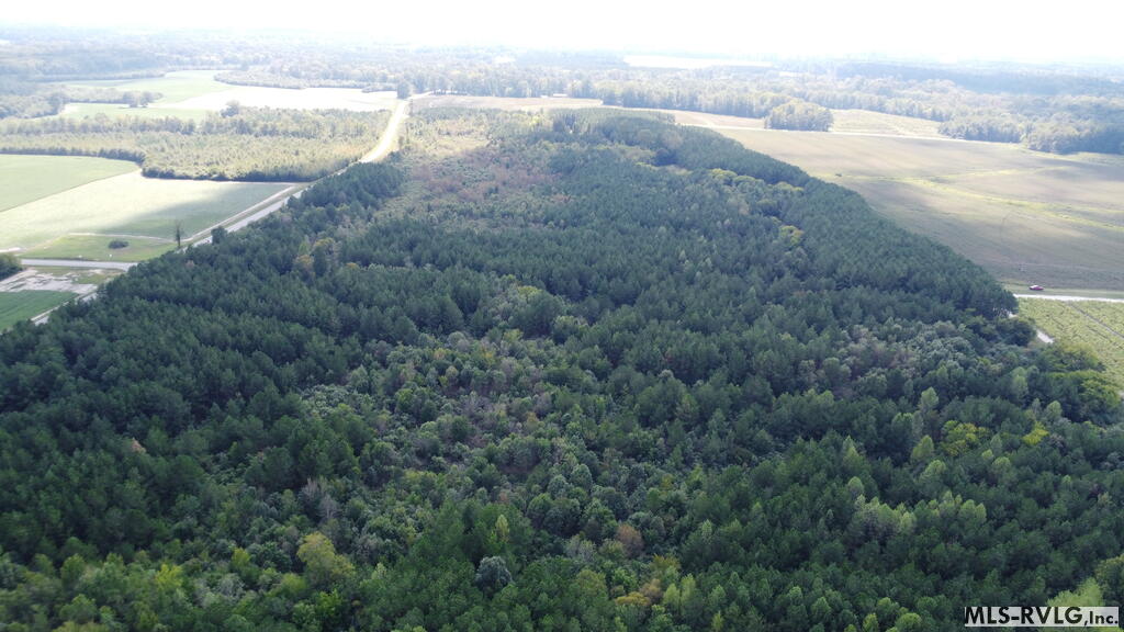 Acreage at N/A Bellamy Lake Road, Enfield NC 27823, photo 66 of 79