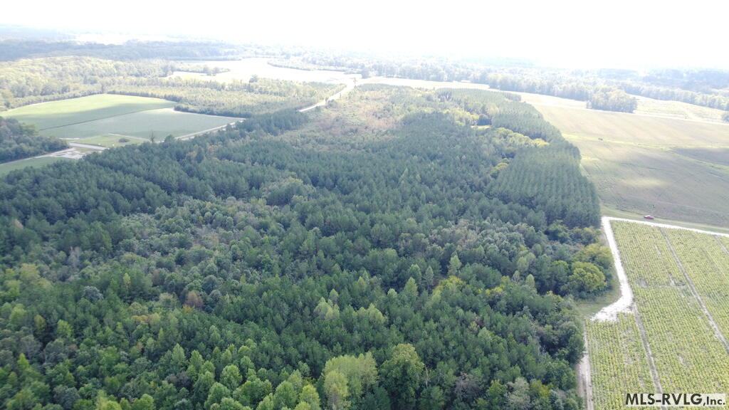Acreage at N/A Bellamy Lake Road, Enfield NC 27823, photo 67 of 79