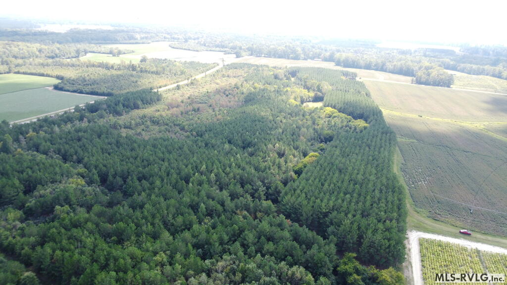 Acreage at N/A Bellamy Lake Road, Enfield NC 27823, photo 68 of 79