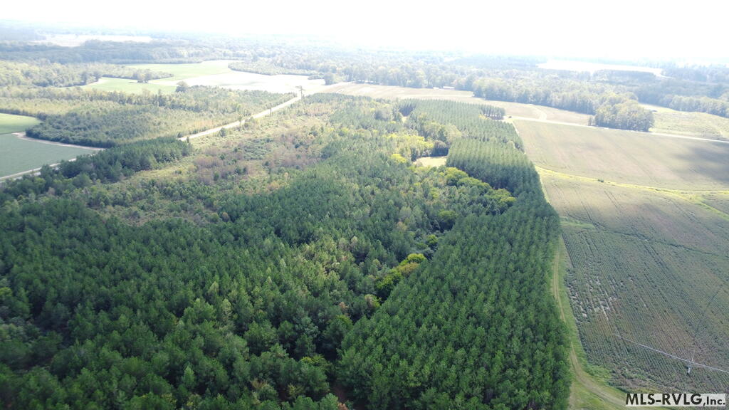 Acreage at N/A Bellamy Lake Road, Enfield NC 27823, photo 69 of 79