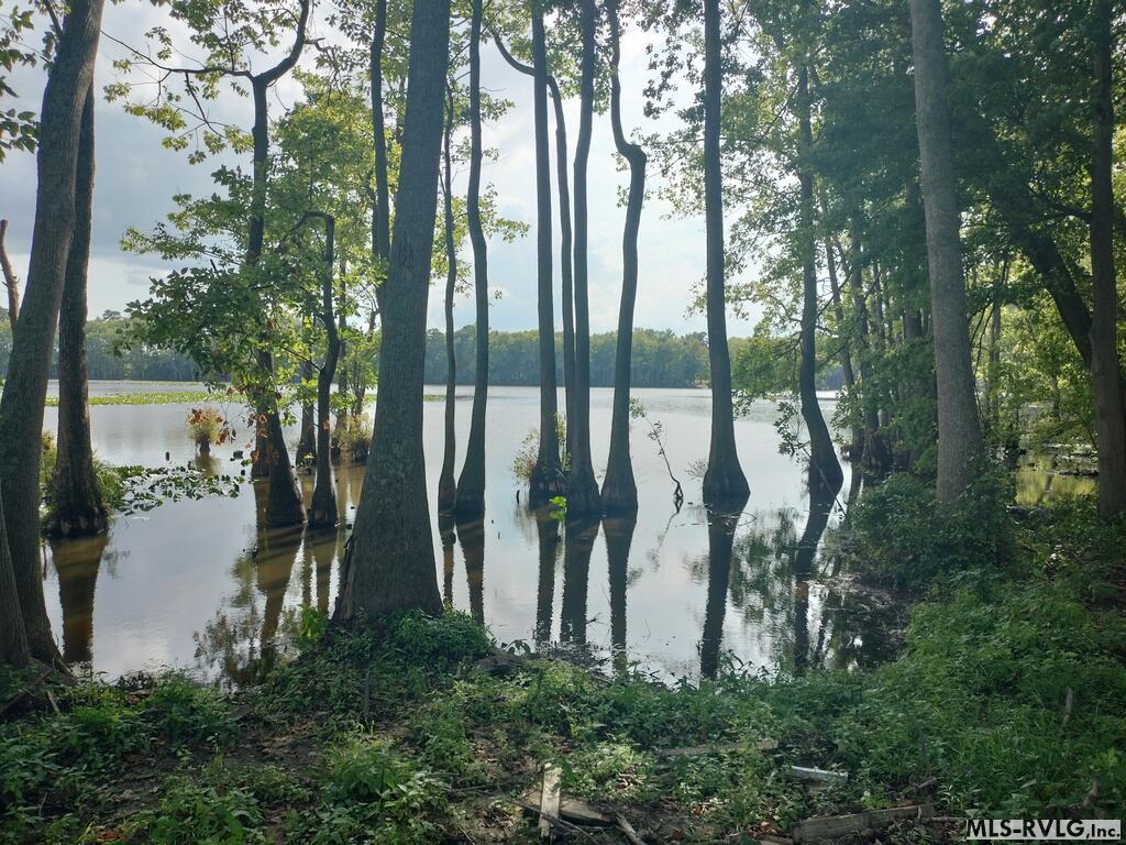 Acreage at N/A Bellamy Lake Road, Enfield NC 27823, photo 7 of 79