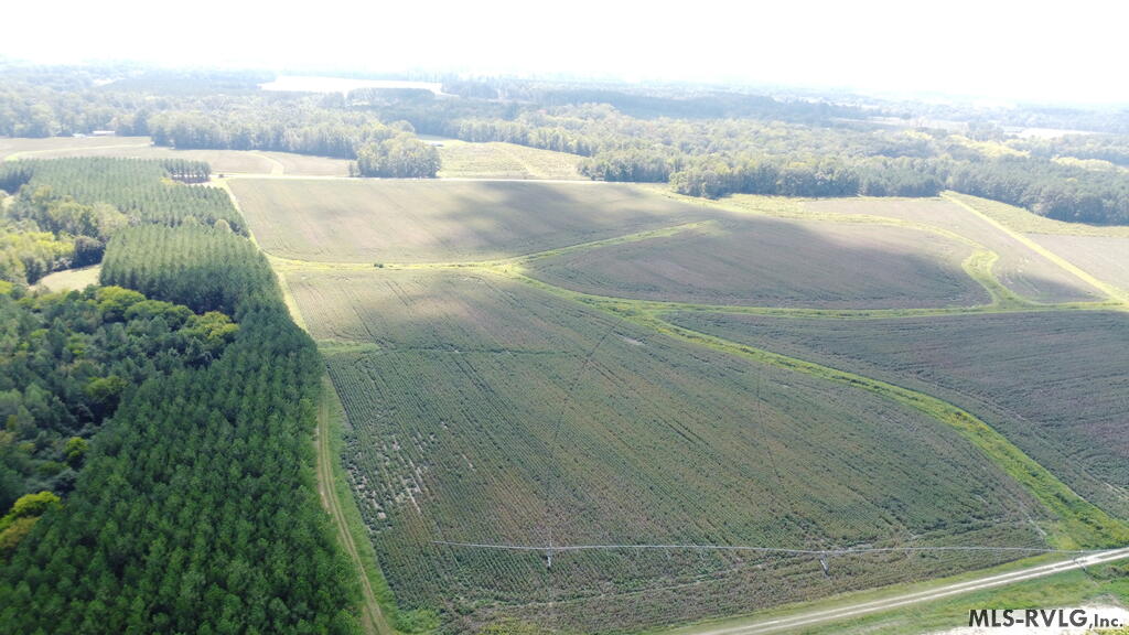 Acreage at N/A Bellamy Lake Road, Enfield NC 27823, photo 70 of 79