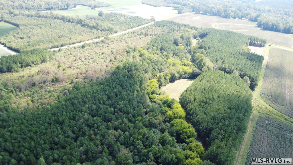 Acreage at N/A Bellamy Lake Road, Enfield NC 27823, photo 71 of 79