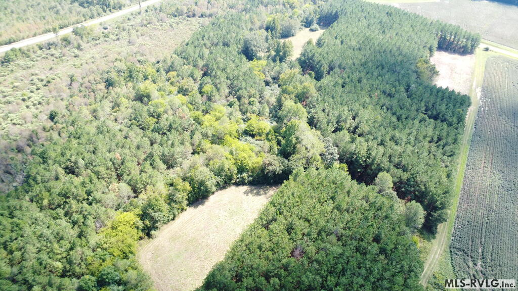 Acreage at N/A Bellamy Lake Road, Enfield NC 27823, photo 72 of 79