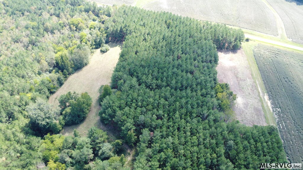 Acreage at N/A Bellamy Lake Road, Enfield NC 27823, photo 73 of 79