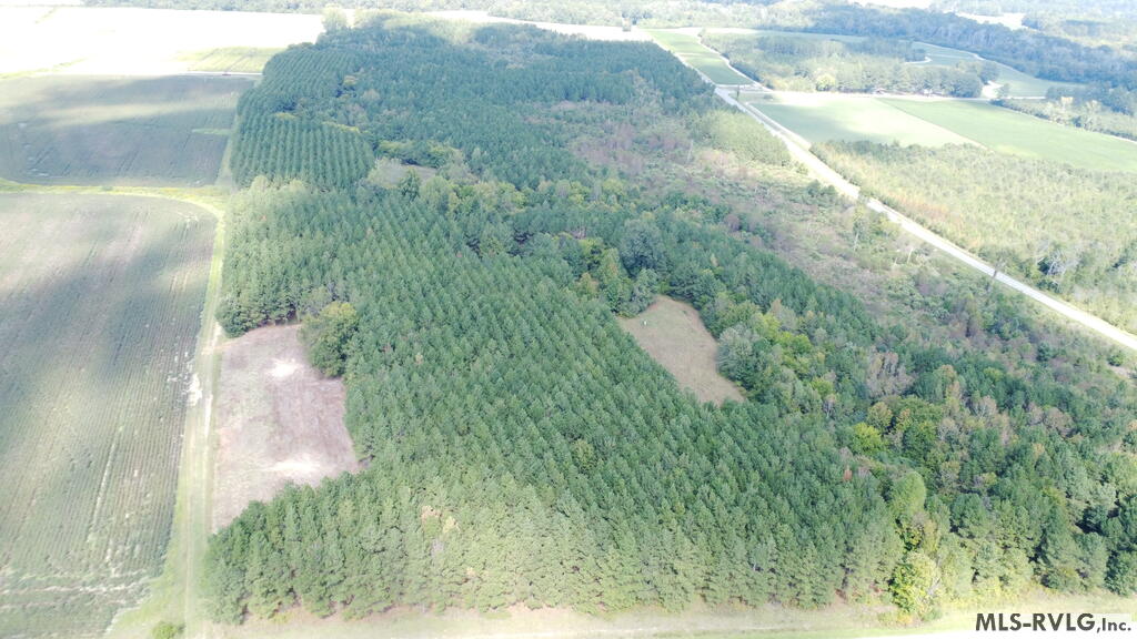 Acreage at N/A Bellamy Lake Road, Enfield NC 27823, photo 74 of 79