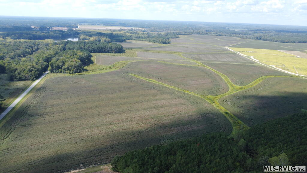 Acreage at N/A Bellamy Lake Road, Enfield NC 27823, photo 75 of 79