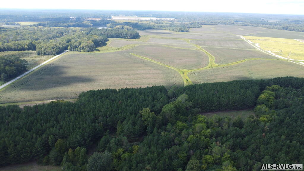 Acreage at N/A Bellamy Lake Road, Enfield NC 27823, photo 76 of 79