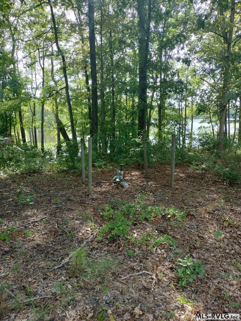 Acreage at N/A Bellamy Lake Road, Enfield NC 27823, photo 8 of 79