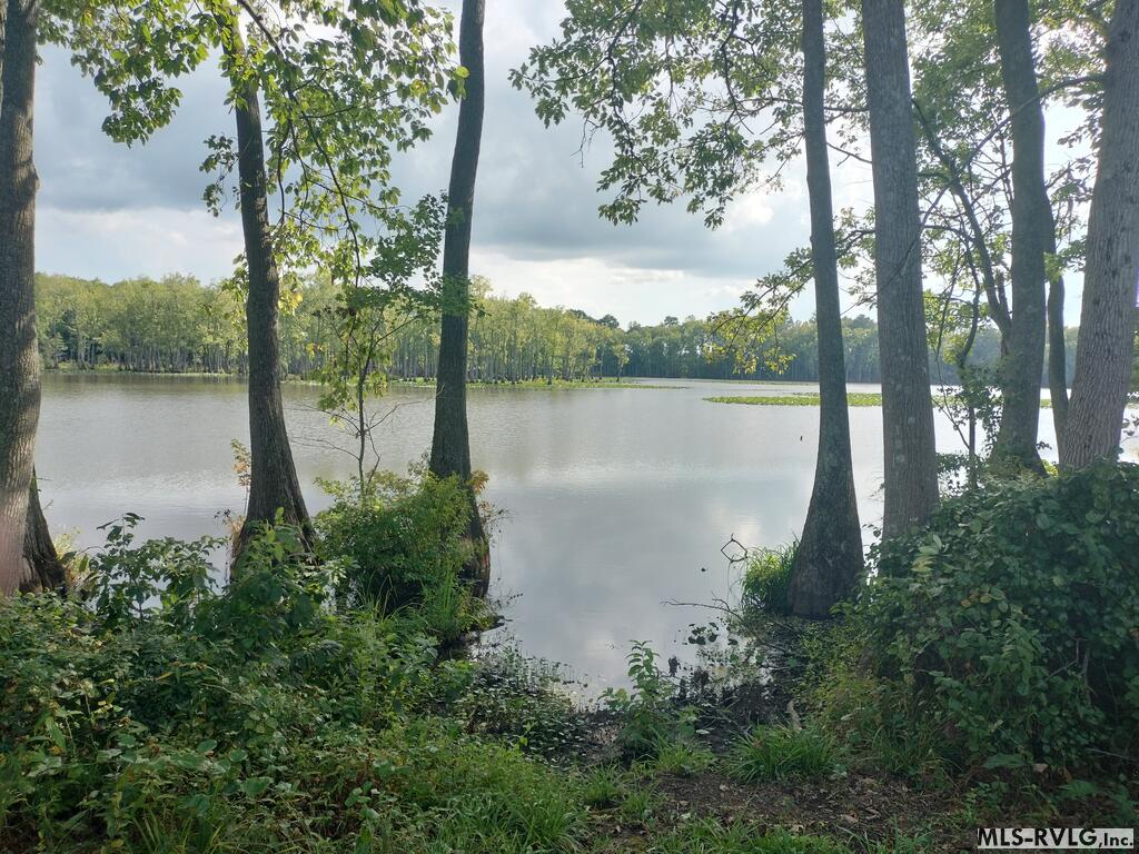 Acreage at N/A Bellamy Lake Road, Enfield NC 27823, photo 9 of 79