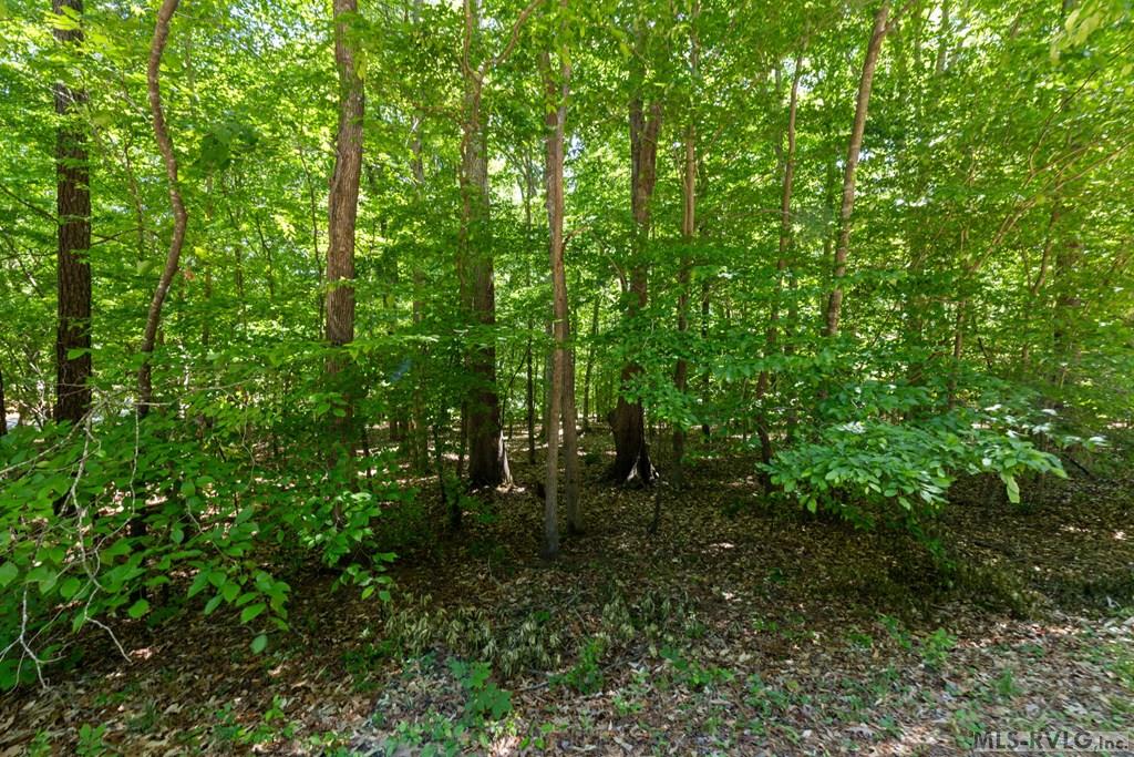 Acreage at Lot #5 Fernwood Dr, Littleton NC 27850, photo 23 of 24