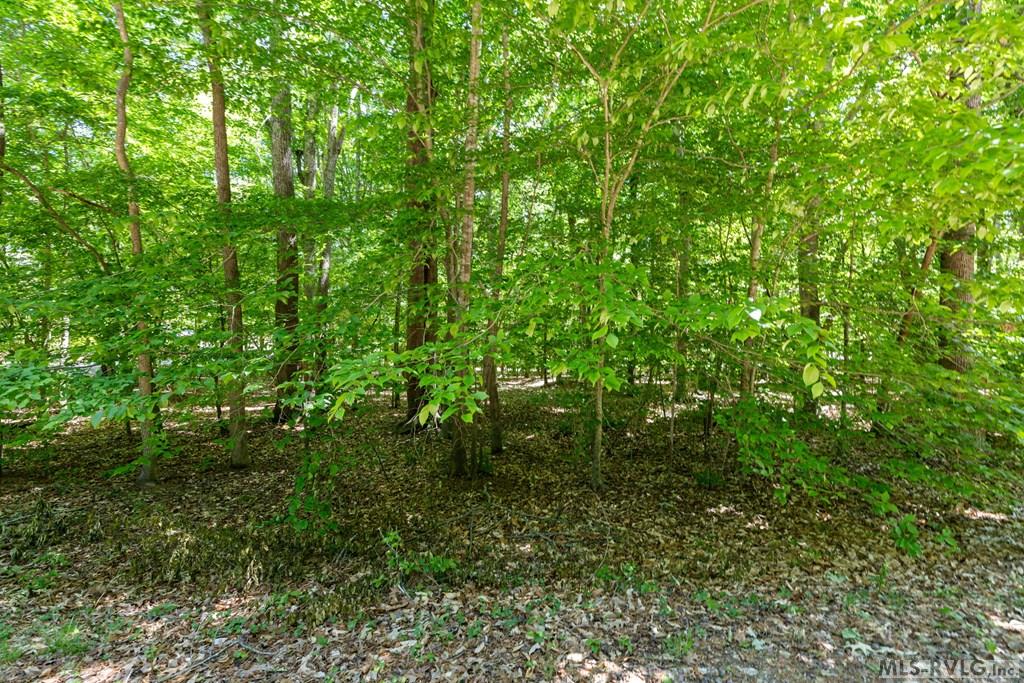 Acreage at Lot #5 Fernwood Dr, Littleton NC 27850, photo 24 of 24