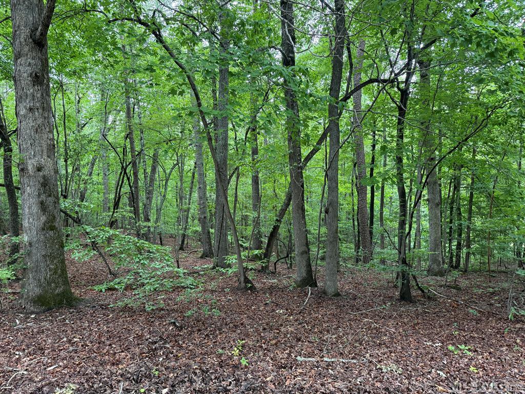 Residential Lot-Restricted at 3 Sir Peyton Drive, Clarksville VA 23927, photo 2 of 8