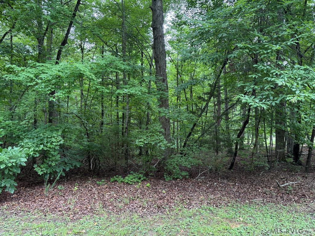 Residential Lot-Restricted at 3 Sir Peyton Drive, Clarksville VA 23927, photo 3 of 8