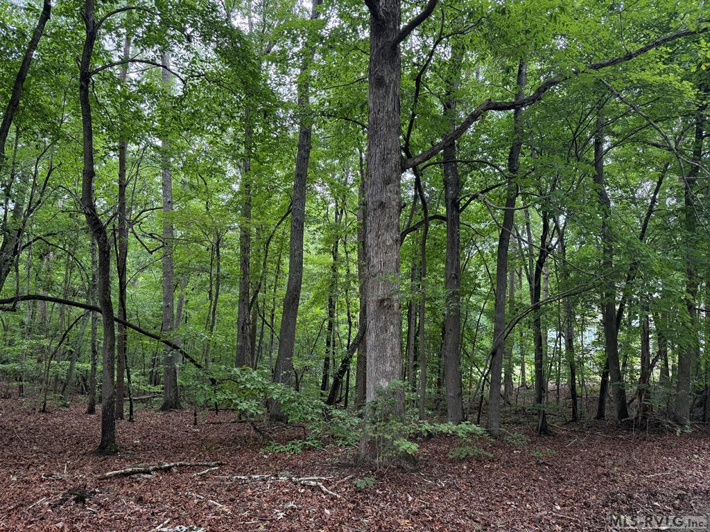 Residential Lot-Restricted at 3 Sir Peyton Drive, Clarksville VA 23927, photo 4 of 8