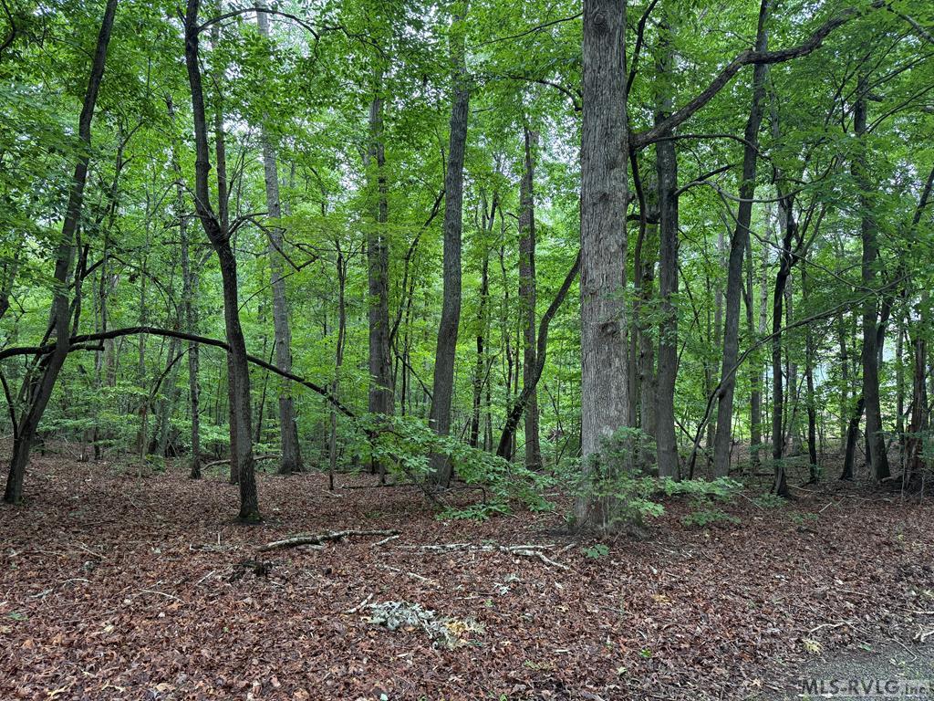 Residential Lot-Restricted at 3 Sir Peyton Drive, Clarksville VA 23927, photo 5 of 8
