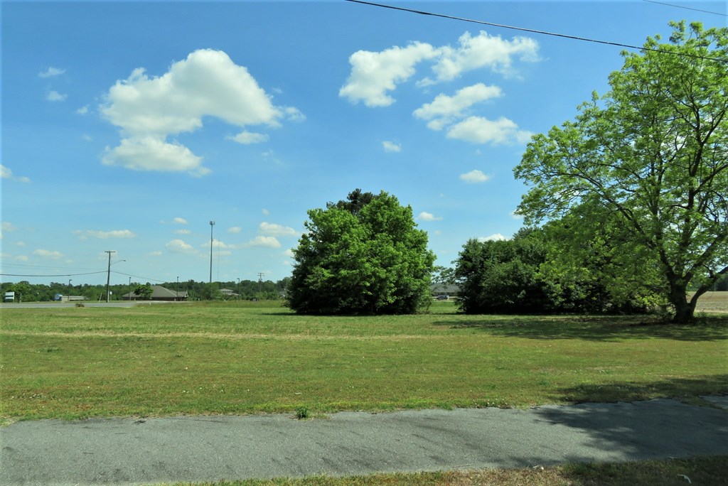Acreage at 0 Highway 125, Roanoke Rapids NC 27870, photo 2 of 6